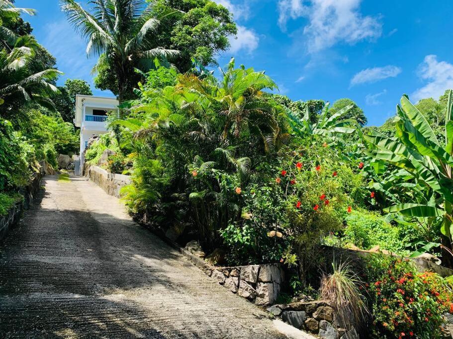 Crystal Apartments Seychelles Seaview Ground Floor Glacis  Ngoại thất bức ảnh